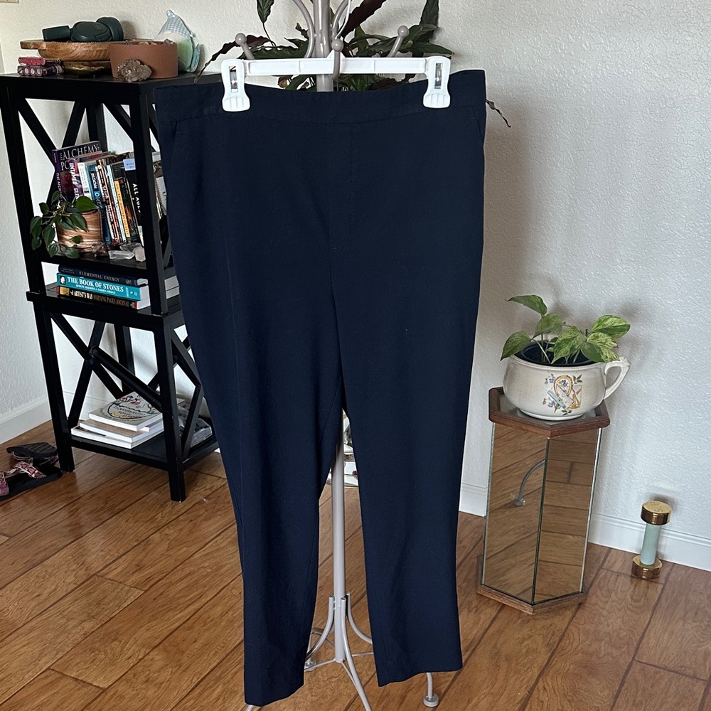 Banana Republic Navy Straight Leg Pants